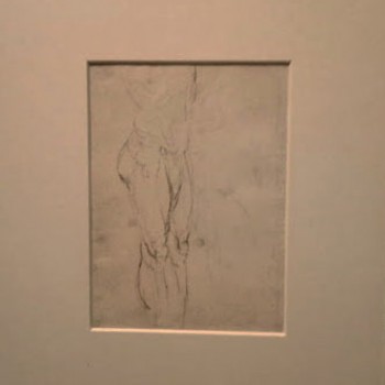 fig 7-Torso e gambe di un nudo maschile volto a destra di tre quarti (disegnatore umbro e Raffaello?)