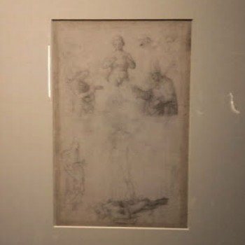 fig 14-Studio per la Pala di  S.Nicola da Tolentino, Raffaello